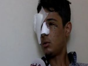 Gezi Parkı Bilançosu