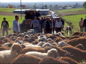 Konteyner Kent Kurulmasına Köylü Direnişi