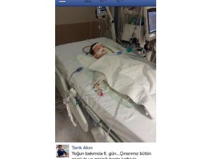 MİNİK ÇINAR İÇİN ÇARESİZ BEKLEYİŞ