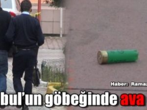 İstanbul’un göbeğinde ava çıktı!