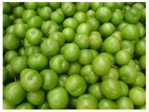 YEŞİL ERİĞİN FAYDALARI