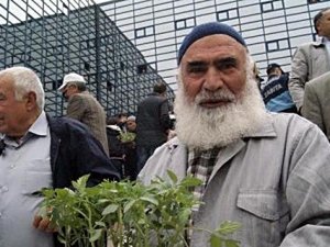 DOMATES FİDESİ İZDİHAMI