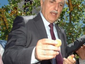 Vali 'kayıp' iddialarına ne dedi?