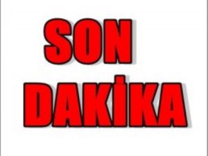 Ankara kuğulu, parktan canlı yayın