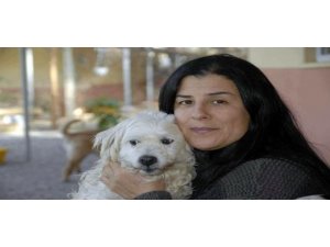 YAVRU KÖPEK DÖVE DÖVE ÖLDÜRÜLDÜ!