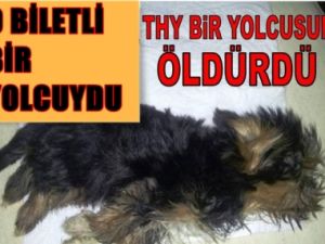 THY Bir Yolcusunu Öldürdü !