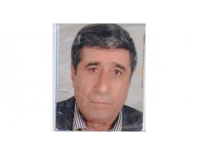 BOĞAZINA KAÇAN SİNEĞİ ÖLDÜRMEK İÇİN BAKIN NE YAPTI!