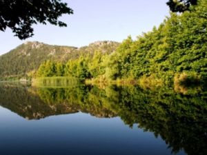 Milli Park'a Nükleer Santral Önerisi