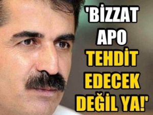 'Bizzat Apo tehdit edecek değildi ya?