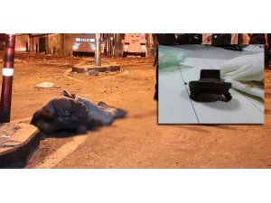 BAŞINDAN SU BORUSU ÇIKTI