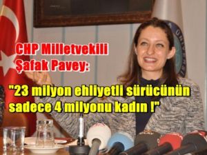 Şafak Pavey, 7 yılda Kadına Şiddet % 1400 Arttı