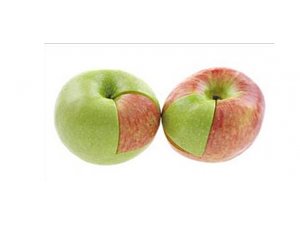 BAKANLIK'TAN GDO'YA İZİN!