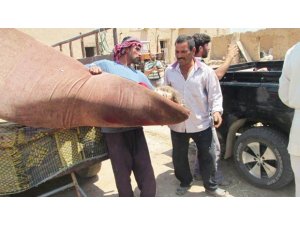 IŞİD KÜRT KÖYLERİNDE KATLİAM YAPTI