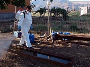 KÖYDE 6 AYLIK KUDUZ KARANTİNASI