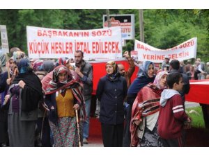 ERDOĞAN KENDİ BACILARINI DÖVDÜRÜYOR