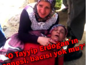 BAŞÖRTÜLÜ BACILARIMIZI BÖYLE DÖVMÜŞLER