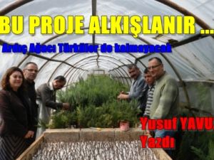 Ardıç ağacı türkülerde kalmayacak!