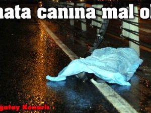 Bu hata canına mal oldu!