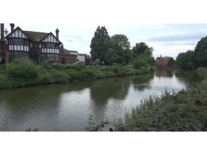 KRALİÇENİN KUĞUSUNU KESEN TÜRK KONUŞTU