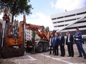 AĞAÇLARI KURTARMAK İÇİN MİLYAR HARCAYANLAR