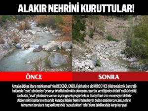 Kuşları susuz, işçileri ekmeksiz bıraktılar!