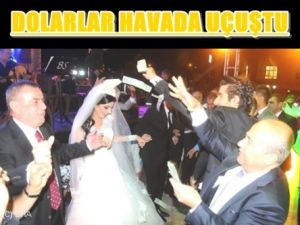 Milletvekili Oğlunun Düğününde Dolarlar Havada Uçuştu