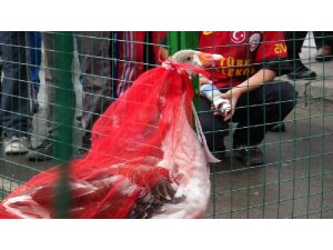 KAZ GÜZELİ YARIŞMASI'NDA İLGİNÇ ANLAR