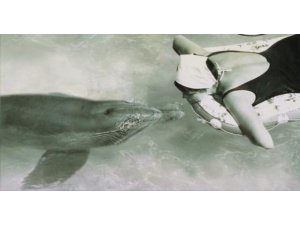 BAKICISINA AŞIK OLAN YUNUS BALIĞININ ACI SONU