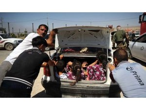 REHİNELER CANLI KALKAN