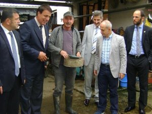 CHP FELAKET BÖLGESİNDE