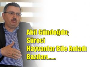 Süreci Hayvanlar Anladı Bazı İnsanlar Anlamadı