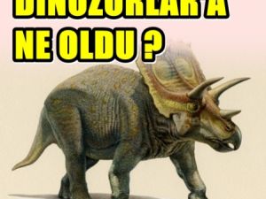 Yeni İp Uçları Bulundu; Dinozorlar neden Yok Oldu