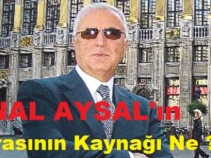 AYSAL'ın Parası Nereden?