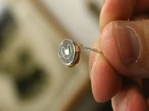 CHP'Lİ BAŞKANA BÖCEK ŞOKU