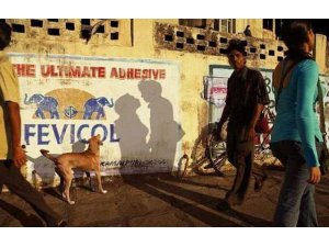 GÖLGEDEKİ SEKS GÖRÜNTÜSÜ OLAY OLDU