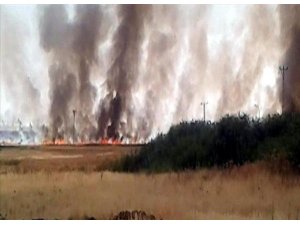 SURİYE SINIRINDA YANGIN