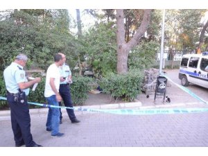 BESLEDİĞİ KEDİLERİN YANINDA HAYATINI KAYBETTİ