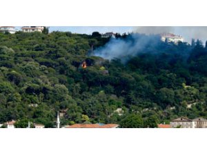 MİLLETİN 'AĞACINA' DA KOYMUŞLAR