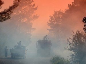 ANTALYA ADRASAN'DA YANGIN