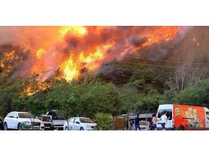 ANTALYA ADRASAN BİLANÇOSU