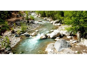 YARGIDAN HES CİNAYETİNE ŞOK KARAR