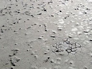 KUŞ CENNETİ BÖYLE ÇÖL OLDU