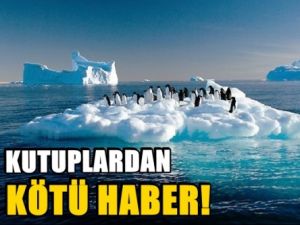 Kutuplardan kötü haber!