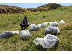 KATO'DA TOPLU MEZAR BULUNDU