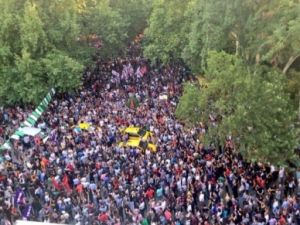 Kuğulu Parkta Neler Yaşandı...