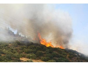 TAHTALI'DAKİ YANGIN