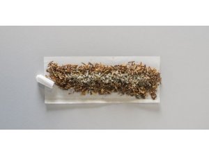 GENÇLERİMİZ UYUŞTURUCU BATAĞINDA! ŞOK TESPİTLER!