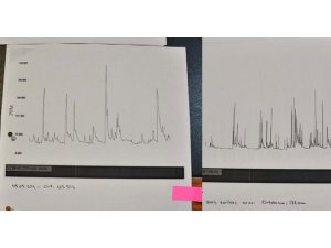 NE SABOTAJ NE CHP SOMA FACİASI BÖYLE GELİYORUM DEMİŞ
