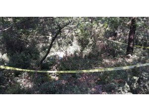 KAN DONDURAN BAKİRELİK CİNAYETİ