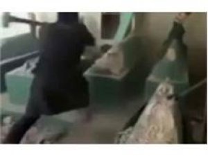 IŞİD DELİRDİ! PEYGAMBER MEZARINI YIKTILAR!